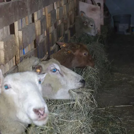 Vakantiehuis L'autre Temps