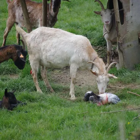 Ferienhaus L'autre Temps *